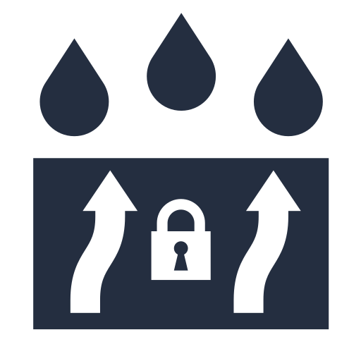 Невымываемый